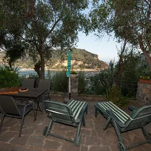 Maison Violet Hébergement de vacances